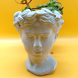 Cement Head Planter